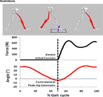 A marker based kinematic method of identifying initial contact during gait suitable for use in real-time visual feedback applications